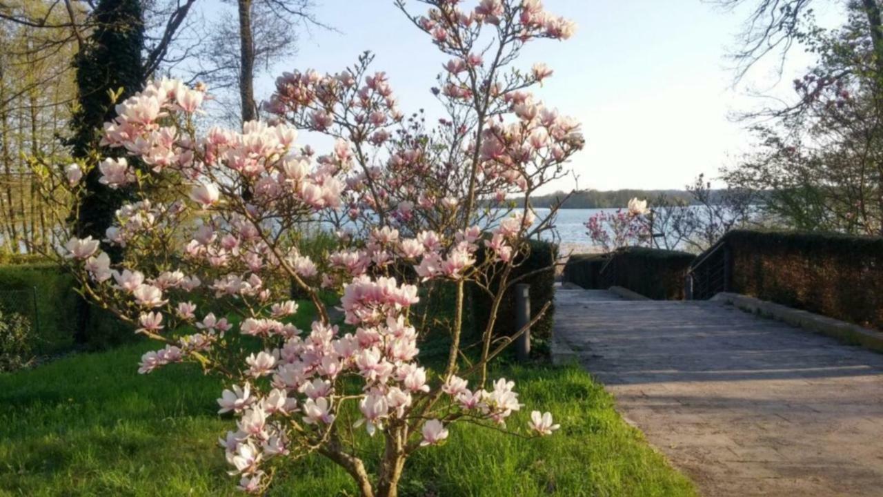 Seeblick III Bad Saarow Eksteriør bilde
